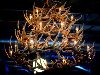 antler chandelier