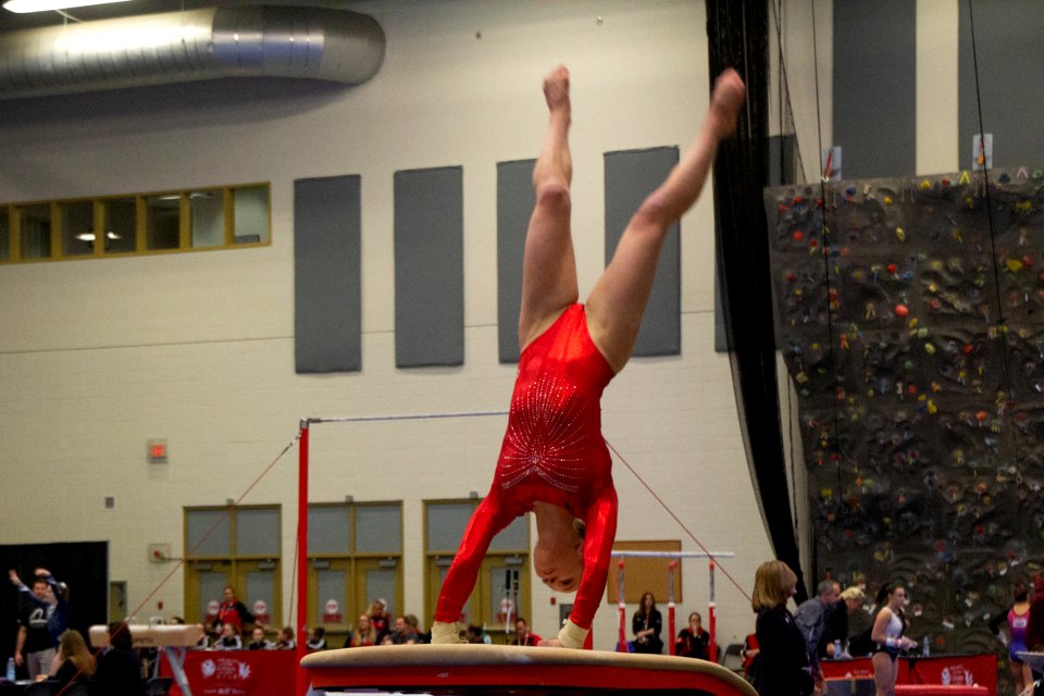 Lori Gillan 2019-02-19- Gymnastics Ladies-6