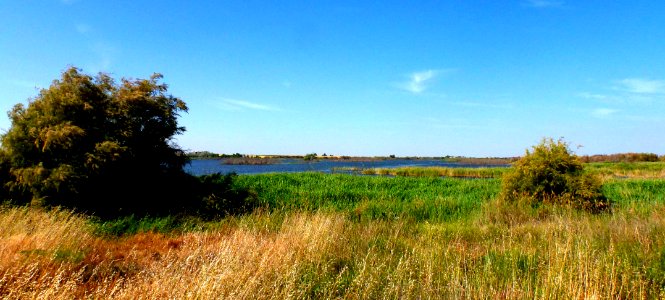 TABLAS DE DAIMIEL, (CIUDAD REAL). SPAIN.
