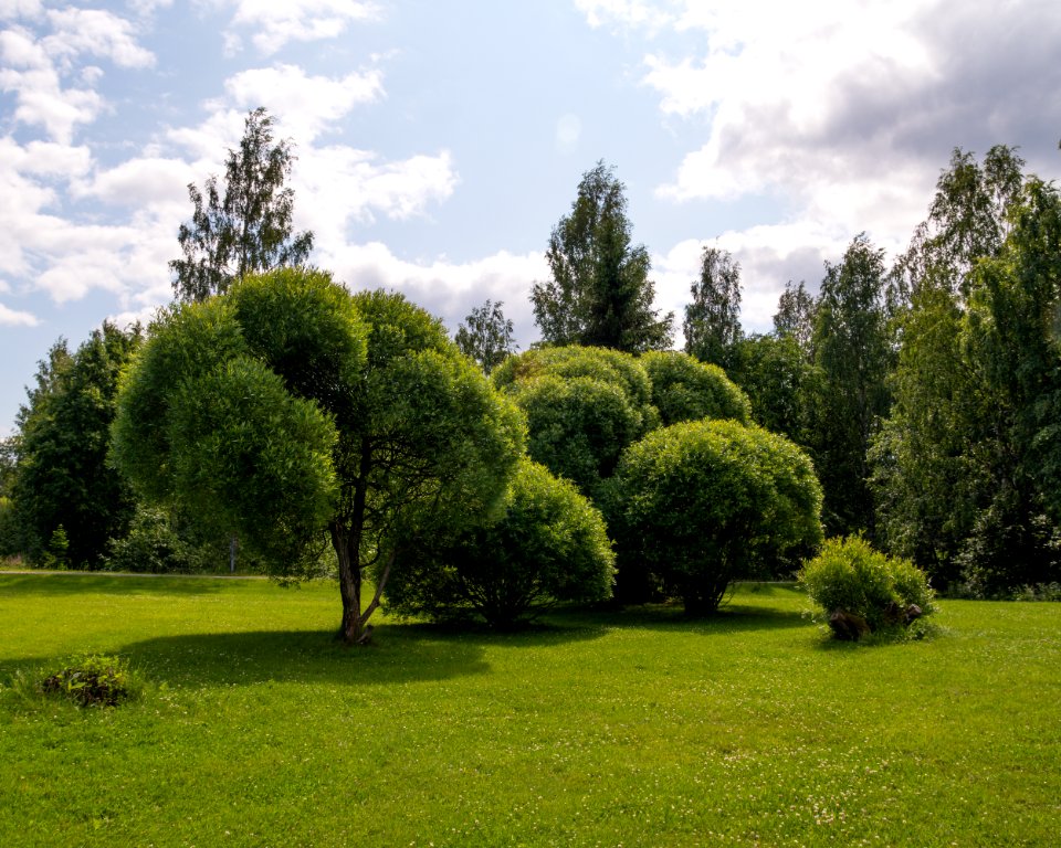 City park in Ylöjärvi