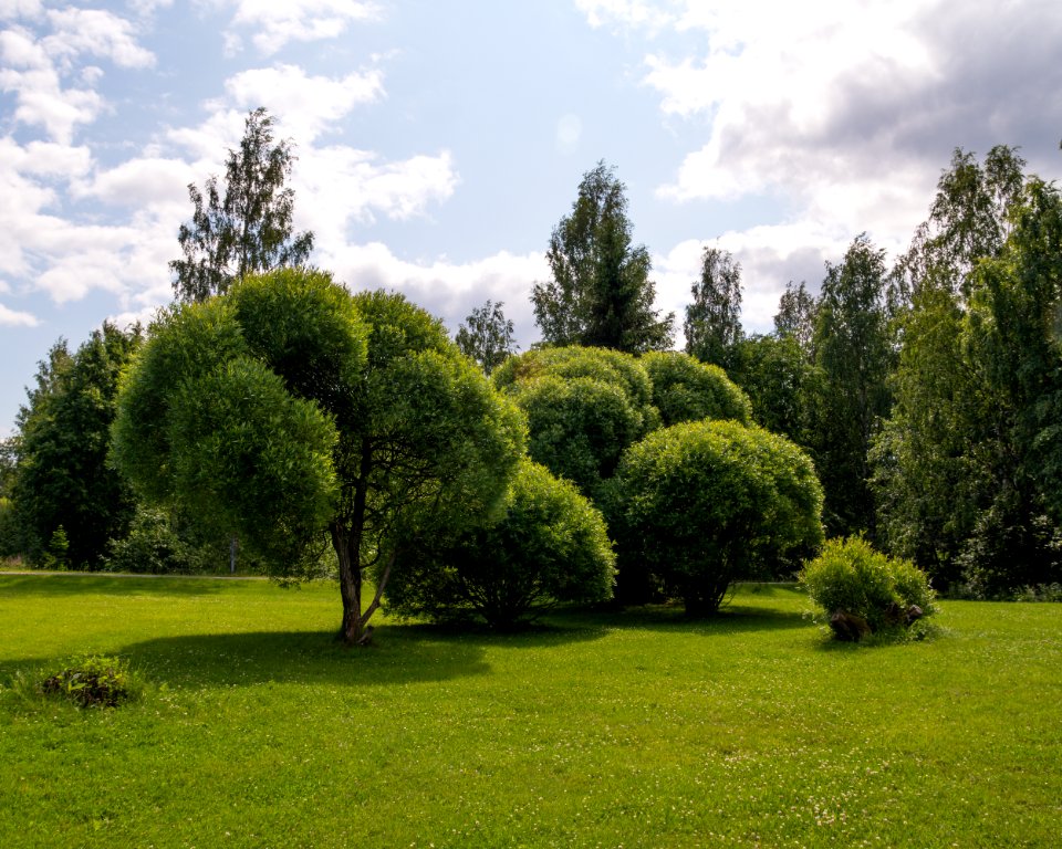 City park in Ylöjärvi photo