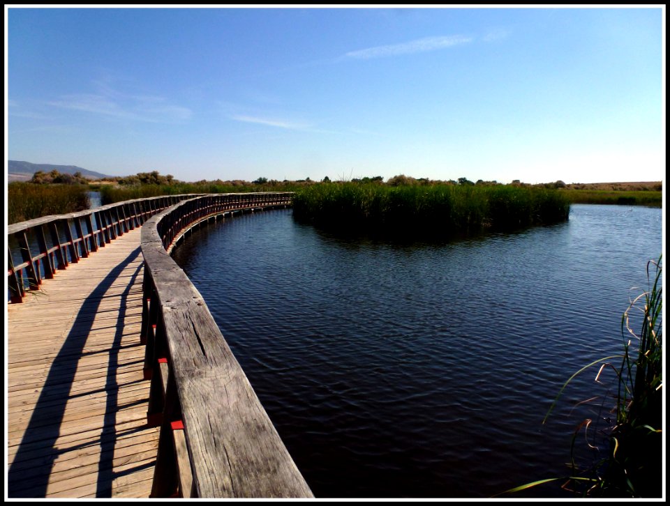 TABLAS DE DAIMIEL, (CIUDAD REAL). SPAIN.