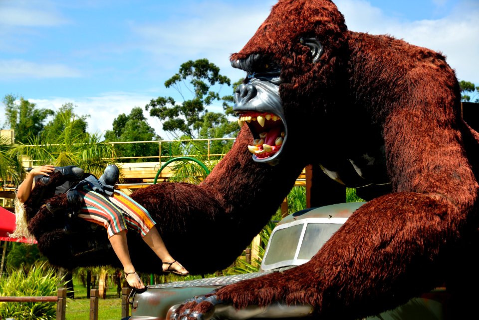 RenatoSoares BetoCarreroWorld Penha SC
