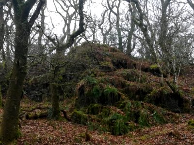 Exposed rock faces at Halstock wood, Okehampton