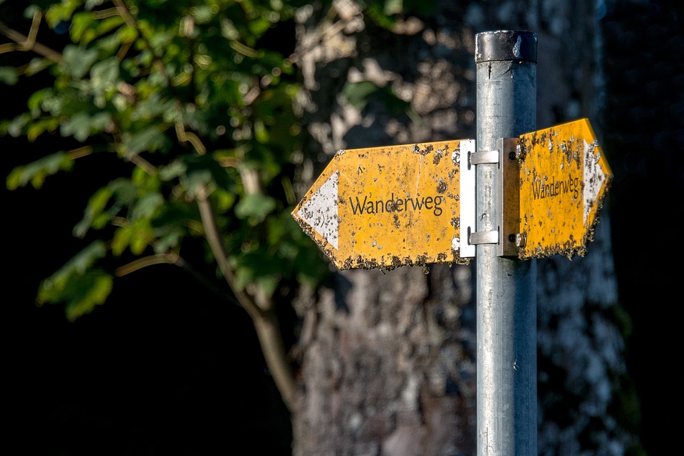 Direction signposts nature