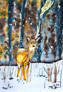 Aquarelle 18-61