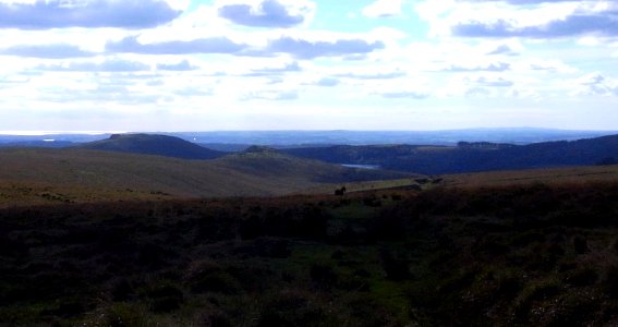 Dartmoor National Park , Devon, UK photo