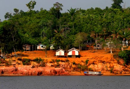 MarioOliveira ComunidadeAgrovila Tefe AM