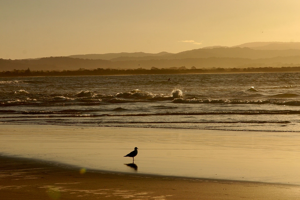 Sea surf ocean