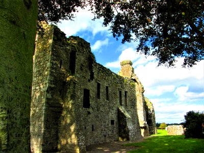 BECTIVE ABBEY.....