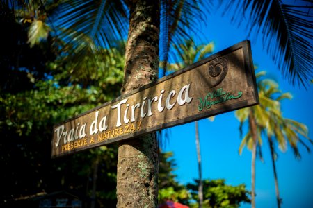 MARCIO FILHO PRAIA DA TIRIRICA ITACARE BAHIA
