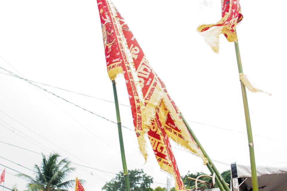 DSC 0115