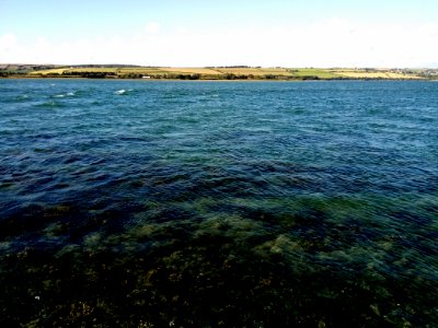 IMG 20190630 180046 Wind Turbines - River Taw - Home Farm Marsh Nature Reserve - Fremington - Devon - UK