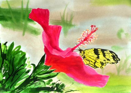 Aquarelle 18-27