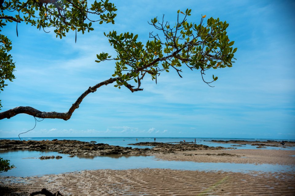 MARCIO FILHO QUARTA PRAIA MORRO DE SÃO PAULO BAHIA