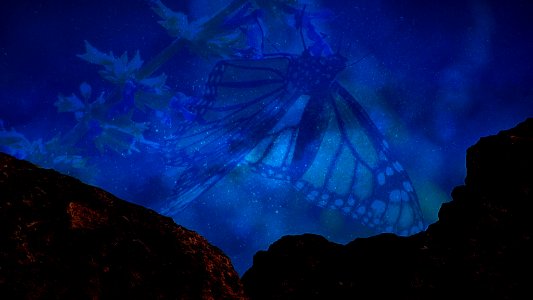 Cosmic Butterfly