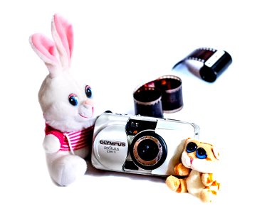 Rabbit, Kitten and Olympus ∞ Stylus Zoom 115 photo