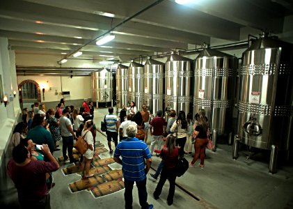 Renato Soares Vinicola Aurora Bento Goncalves RS