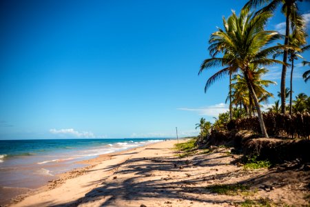 MARCIO FILHO  PRAIA DE ALGODOES MARAU BAHIA
