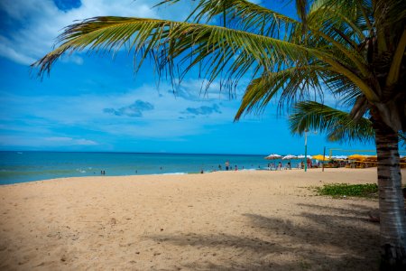 MARCIO FILHO PRAIA DOS NATIVOS TRANCOSO BAHIA