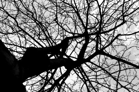 Leica m9p 7Feb15