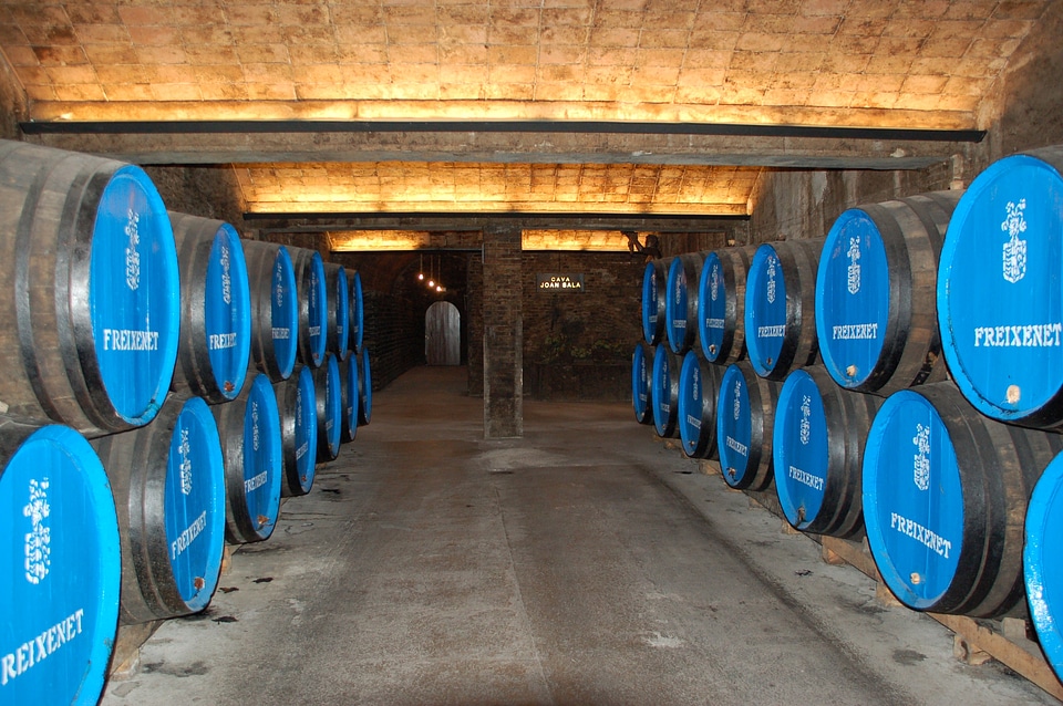 Wine barrels wine spain