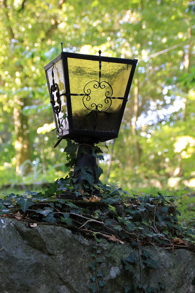 Decay ivy schwalenberg