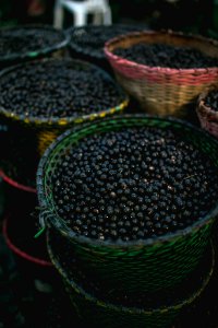 BrunaBrandao Acai Belem PA (1)