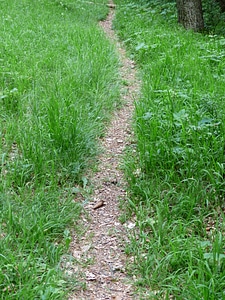 Trail wegchen hike