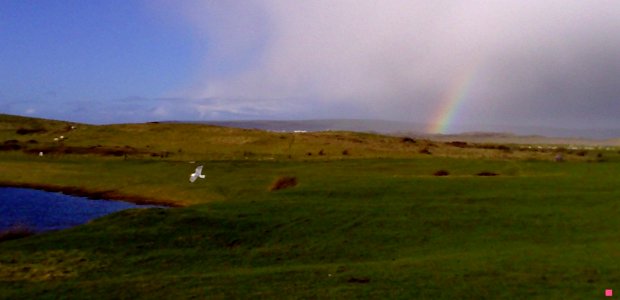 SEAGULL & RAINBOW - NORTHAM BURROWS - NORTH DEVON - UK