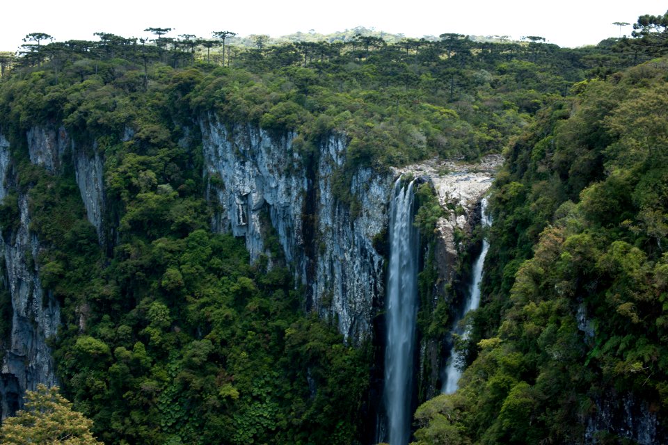 Renato Soares PN Aparados da Serra Cambara do Sul RS