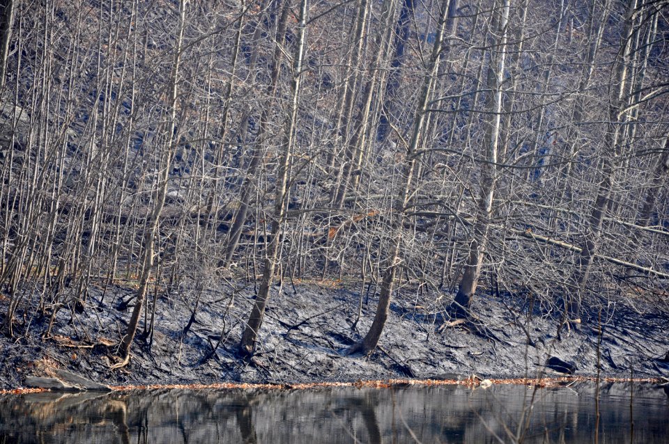 20191129-FS-Monongahela-KMB-1015