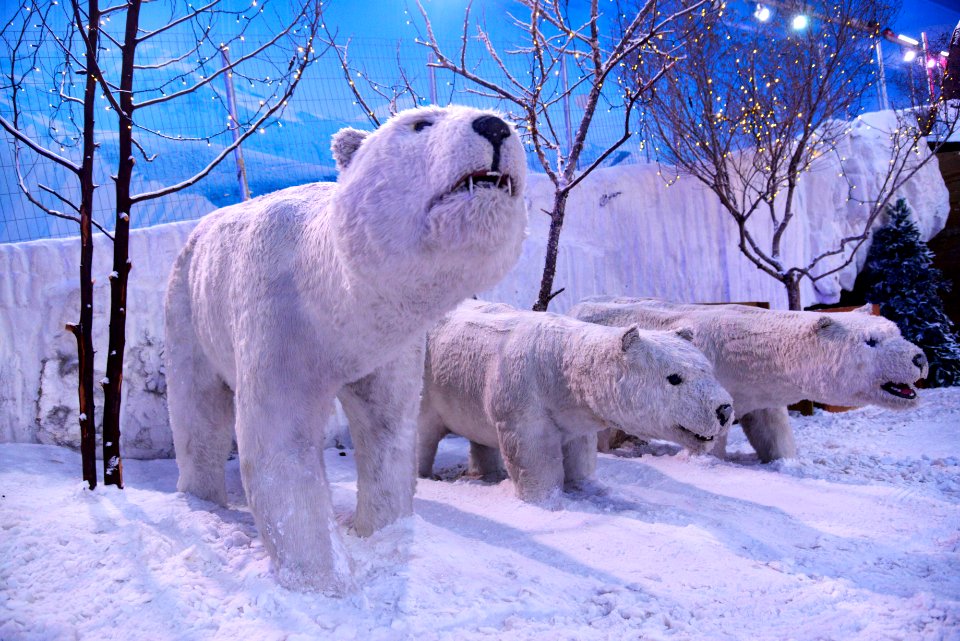 RenatoSoares SnowLand Gramado RS