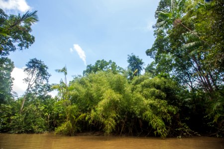 BrunaBrandao FurodoMiguelão Salvaterra PA-23