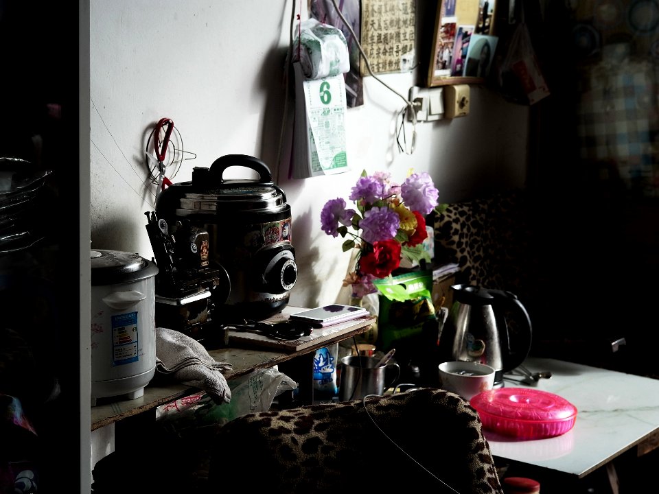 Ricoh GXR Leica 50mm F2.0