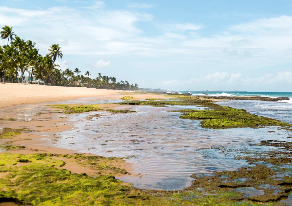 BRUNO LIMA PRAIA DE MURO ALTO IPOJUCA PE