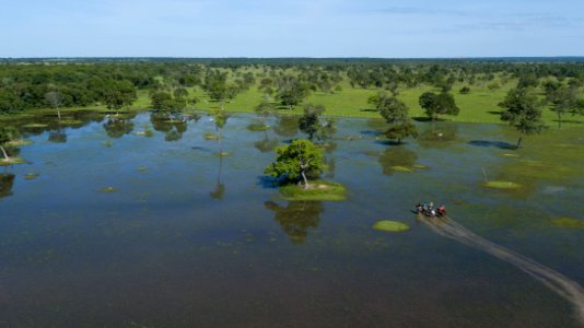 Flavio Andre Pantanal Vista aerea Pocone MT photo