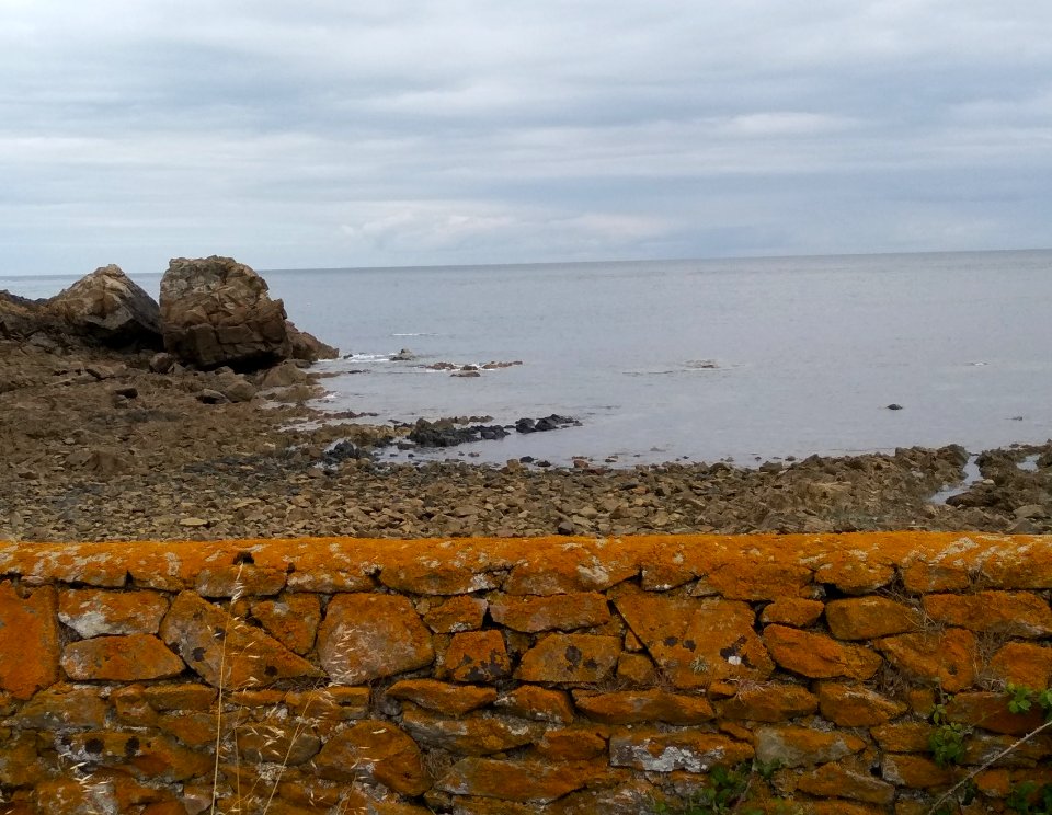 Muret en bord de mer