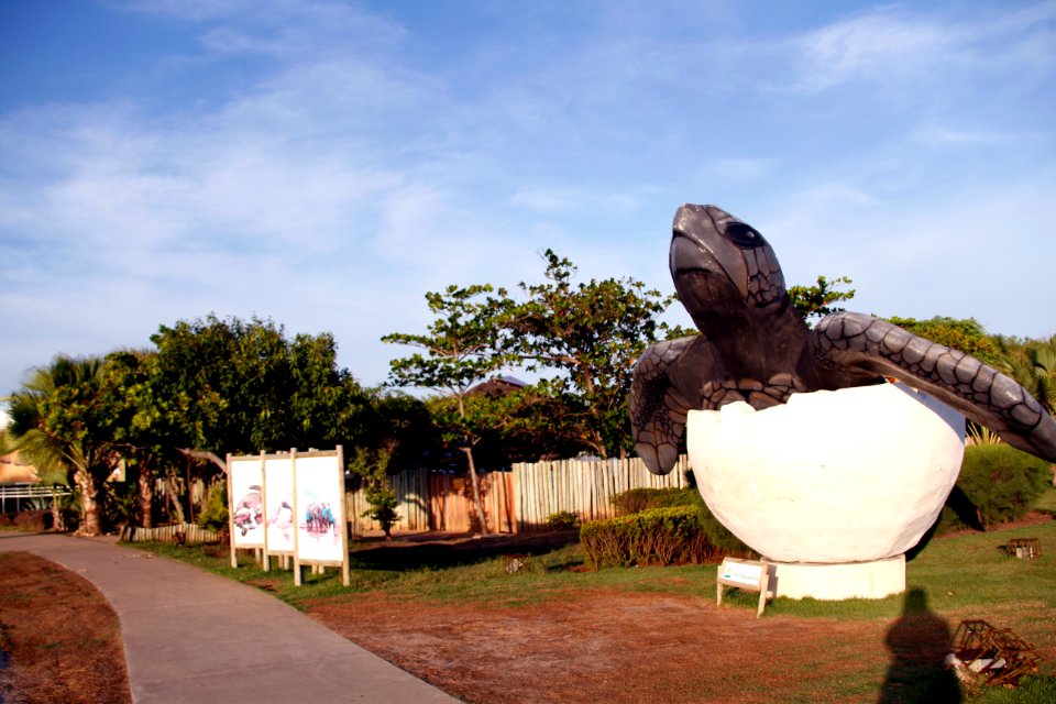 ClevertonRibeiro Oceanario Aracaju SE