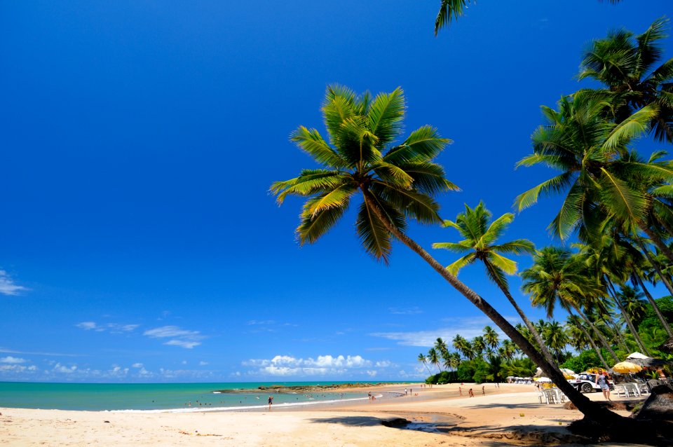 CacioMurilo PraiaCoqueirinho Conde PB