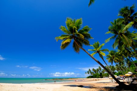 CacioMurilo PraiaCoqueirinho Conde PB