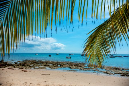 MARCIO FILHO TERCEIRA PRAIA MORRO DE SÃO PAULO BAHIA