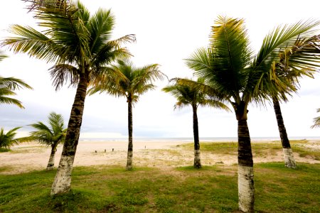 DanielVianna Praia Brava Matinhos PR