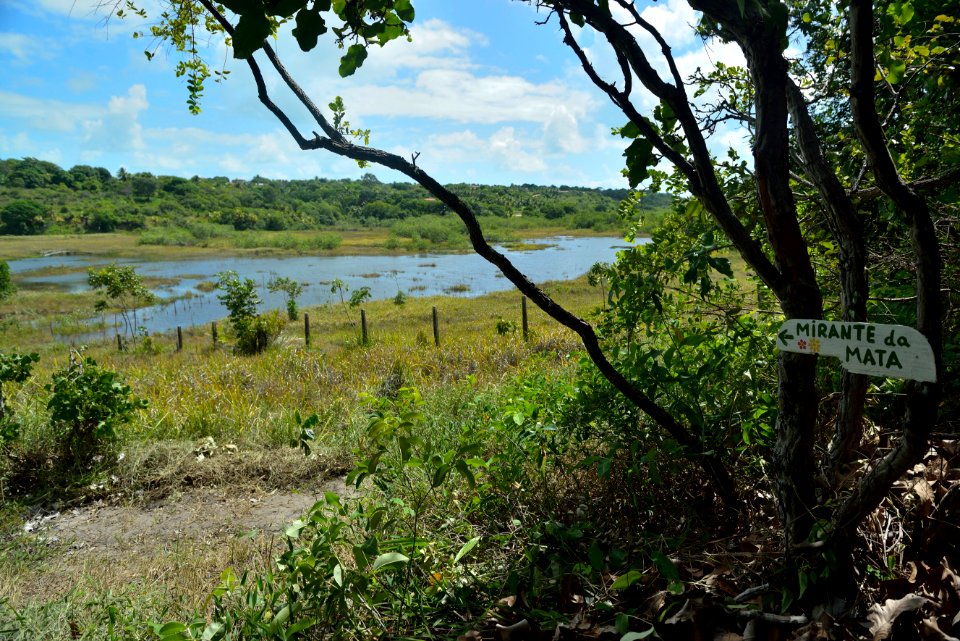 CacioMurilo ReservaMacuxi Conde PB.JPG