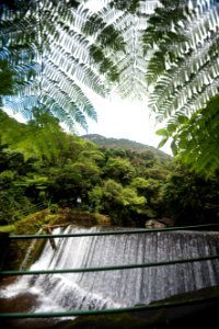 DeniseRicardo Parque Nacional Serra Dos Orgaos Teresopolis RJ