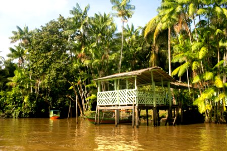 BrunaBrandao Ilha do Combu Belem PA