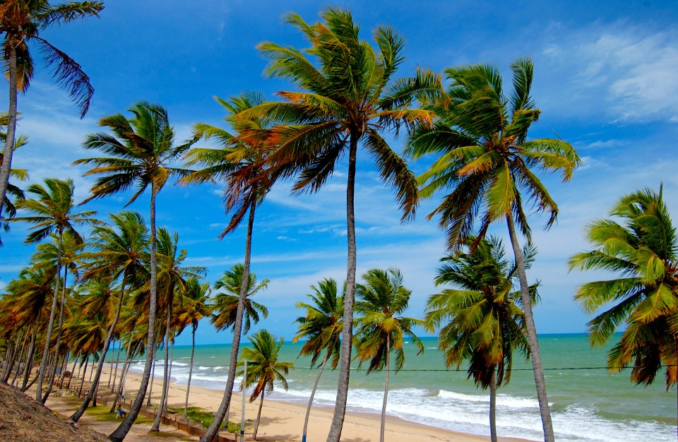 CacioMurilo  PraiaCoqueirinho Conde PB