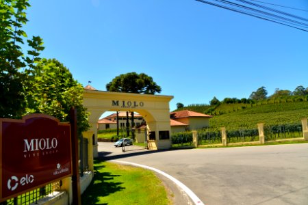 RenatoSoares Vale dos Vinhedos Bento Goncalves RS