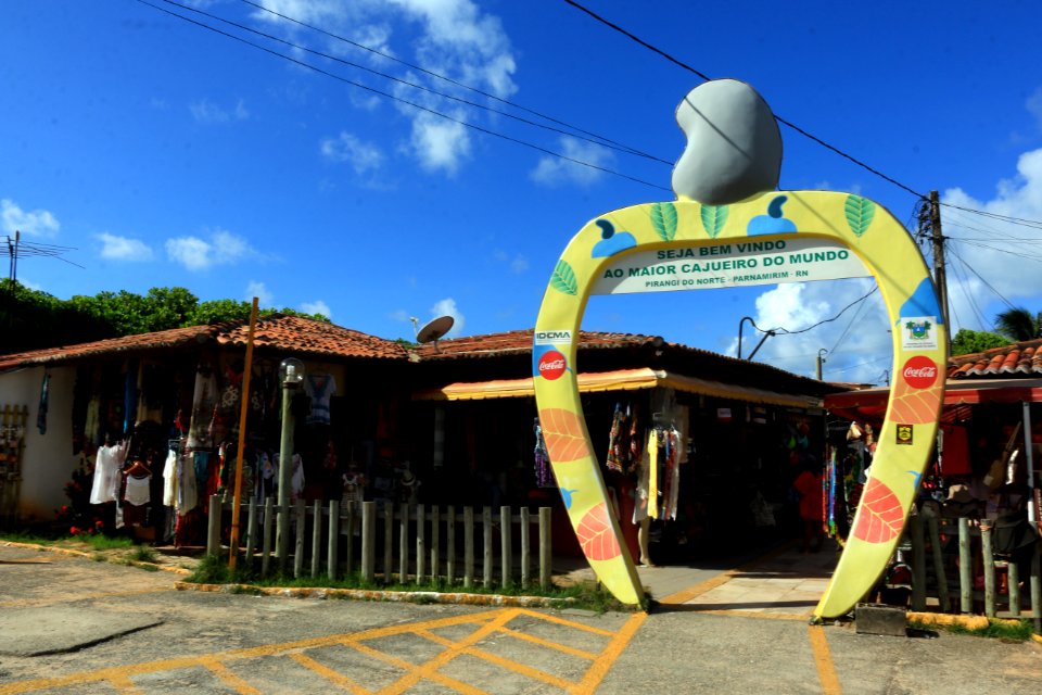 Alex Regis Cajueiro de Pirangi Natal RN
