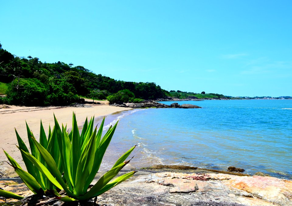 FernandoMadeira PraiadeMarvila Anchieta ES